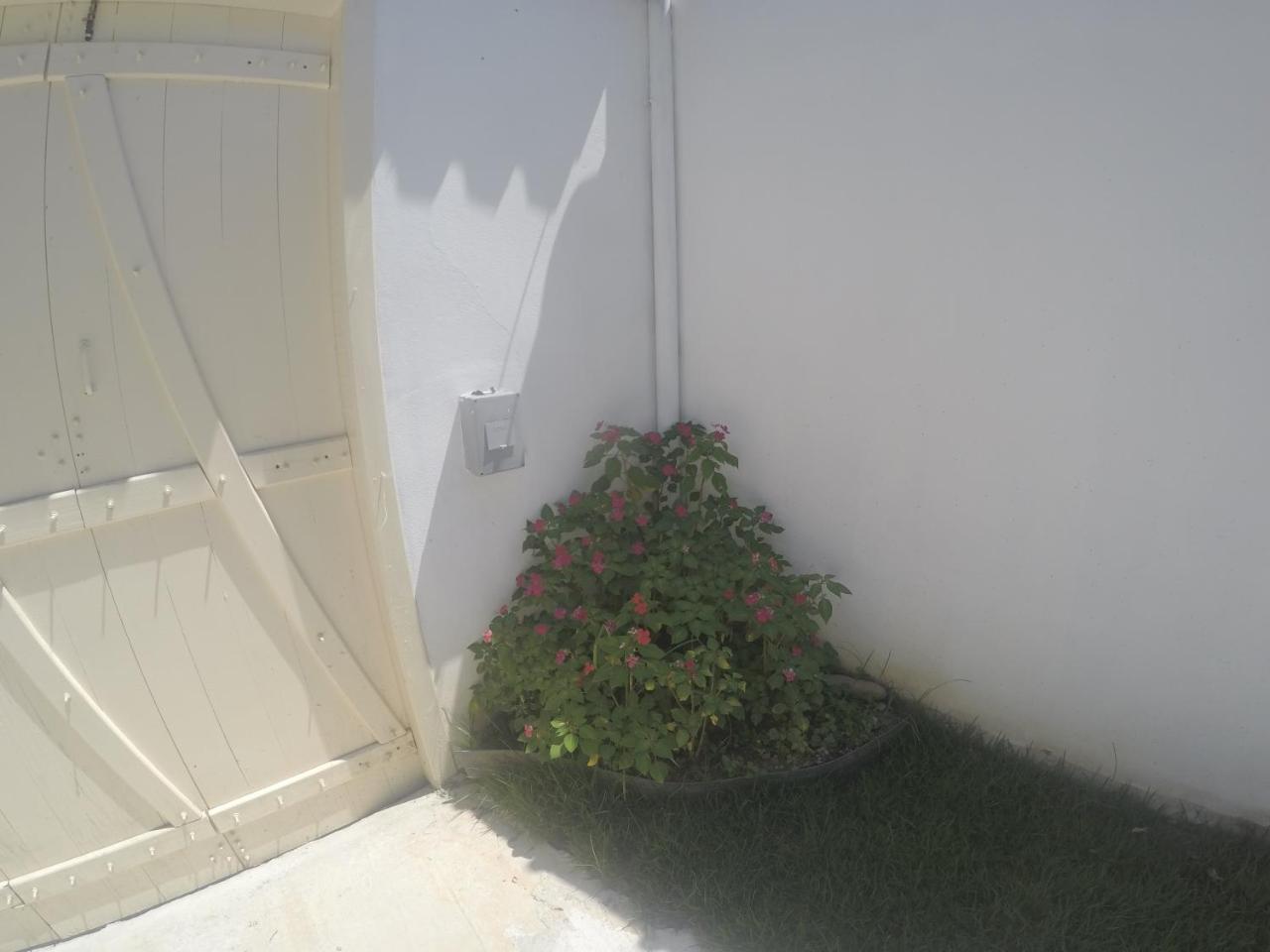 Residencial Flor De Ipe Villa Paraty Ngoại thất bức ảnh